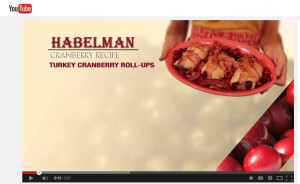 Turkey Cranberry Rollups
